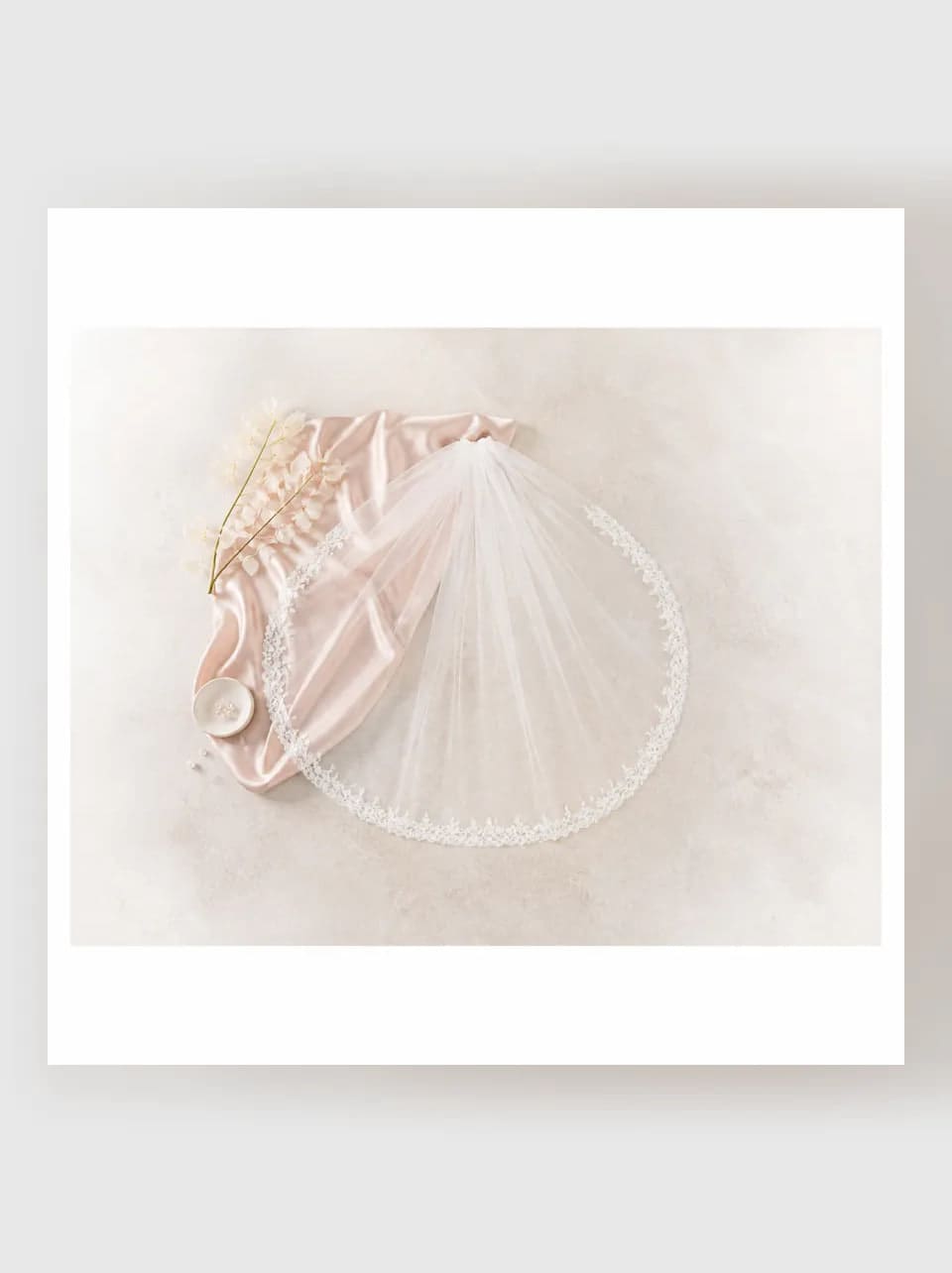 Evangeline Lace-Edge Veil — complete product view showing its overall form and proportion in Ivory · 108 in